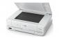 МФУ Epson Colorio EP-979A3 с СНПЧ и чернилами продажа фото МФУ Epson Colorio EP-979A3 с СНПЧ и чернилами