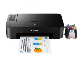 Принтер Canon PIXMA TS204 з СБПЧ та чорнилом